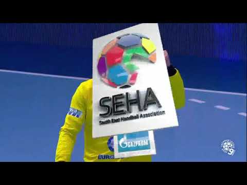 at Metaloplastika Sabac 8 saves (6)