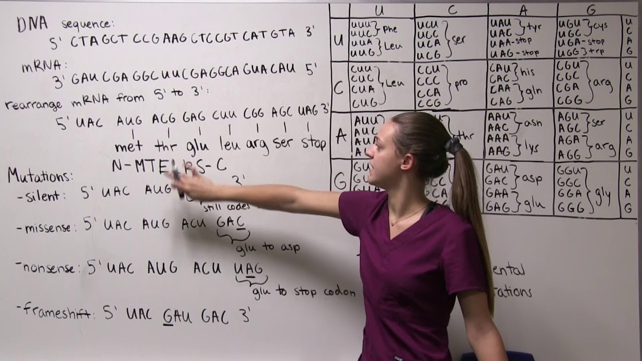 Genetic Code and Mutations