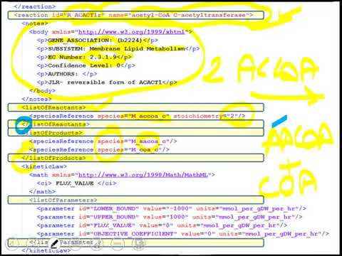 Lecture 6.1 - SBML Format | Genome Scale Metabolic Models