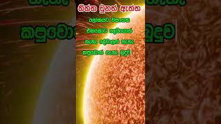 Download lagu නිවන් දකින්න කාලය පැමිණ ඇත. #love #nature #flowers mp3 Download lagu නිවන් දකින්න කාලය පැමිණ ඇත. #love #nature #flowers mp3