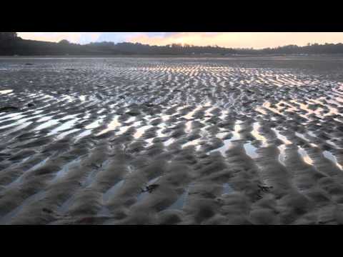 non è l'amore che va' via - vinicio capossela