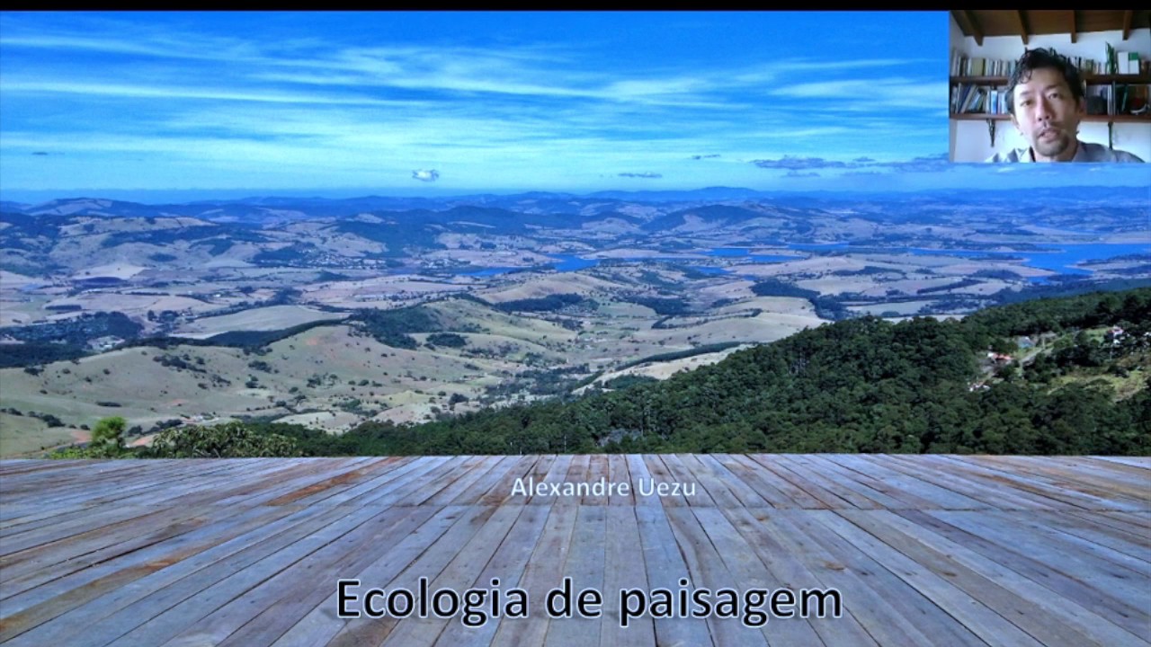 ECOLOGIA DA PAISAGEM: O QUE É (Parte 1)