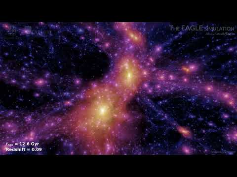 The EAGLE simulation: two galaxies dark matter evolution