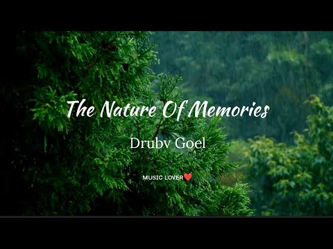 The Nature Of Memories - Dhruv Goel | relaxing music |