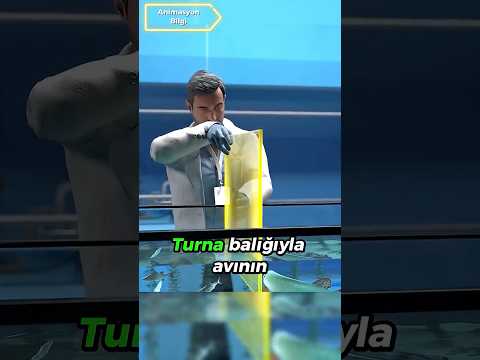 Zihnindeki Engeli Kaldıramadı😮 (Görünmez Engel)
