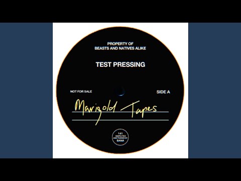 sleep tight (sleep tight)