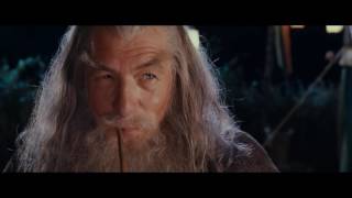 The Lord of the Pints