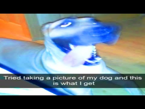 memes that will lobotomize you v2