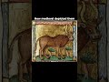 Ancient Indian Cow art Vs Medieval European Cow Art🐮#cow #art #shorts #history #trending