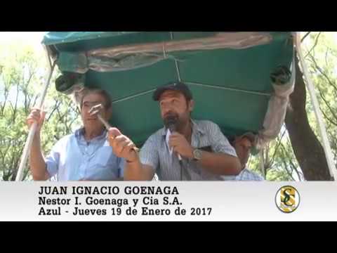19-01-17 Nota Luis Goenaga - Nestor I. Goenaga y Cia S.A. - Azul.