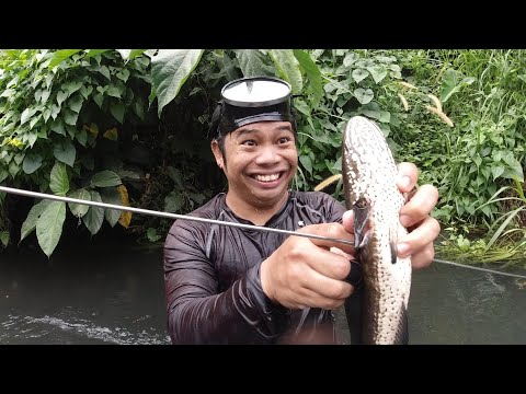 SE03EP021 Part 1 - UBUSAN ng PASENSYA ( WALANG SUSUKO ) San Pablo City, Laguna