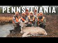 PUBLIC LAND Rifle Buck Deer Drives In The Big Woods
