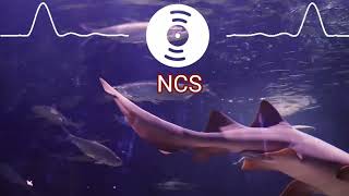 Download lagu ZELI- SHARKS [fhotz channel] mp3