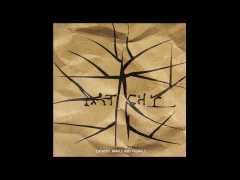 Datach'i - Mmale And Ffemale (Breakcore, Experimental) (2004)