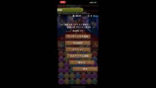 【パズドラ】