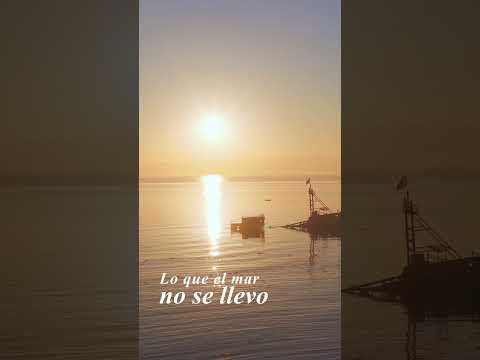 Y cuando sale el sol