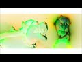Bowser Peaches Official Music Video Super Mario Bro S Movie In G Major CapCut Version
