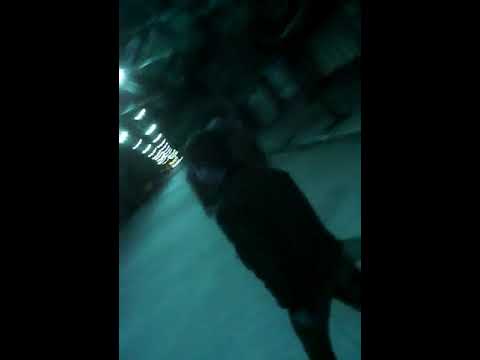 Esta chica umilla a este chico de comcepciom tucuman/Pro Sheryk