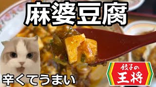 【猫ミーム】ご飯が止まらない麻婆豆腐！餃子の王将