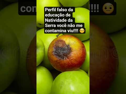 Meme de 2025: Um perfil falso que fala em.nome da educação de Natividade da Serra. Que lindo!!!! 🤪