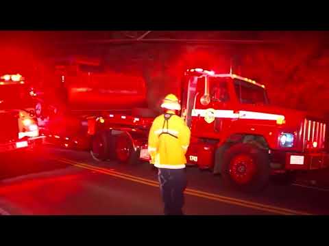 Fog & Poor Air Quality