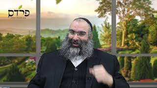 הרב נחמנסון - תובנות לחיים לאנשים שחושבים