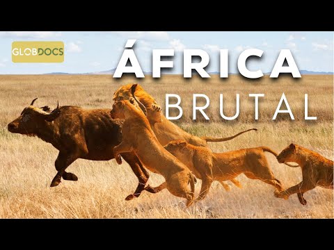 SOUTH AFRICA: The Last Wild Frontier [Full Documentary]