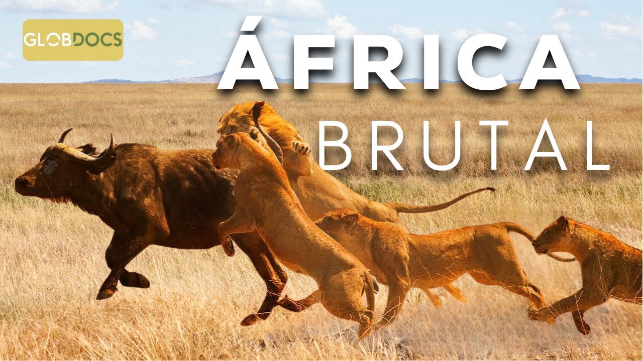 ÁFRICA DO SUL: A Última Fronteira Selvagem [Documentário Completo]