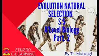 EVOLUTION NATURAL SELECTION PART 2
