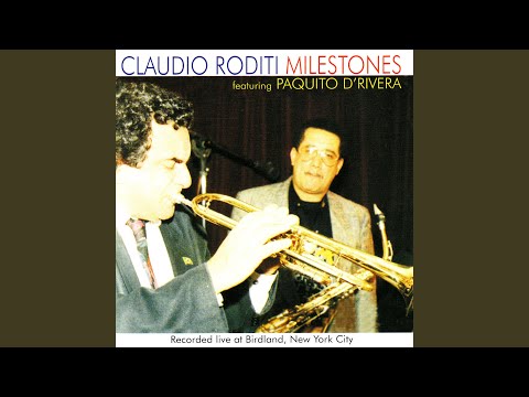 Brussels in the Rain