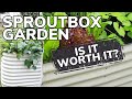 SproutBox Garden Raised Bed Review