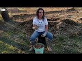 Growing On A Budget Using Goat Manure