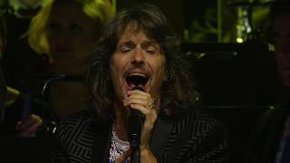 Say You Will (Orchestral)