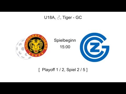 U18A, ♂, 1/2 Playoff, 2/5, Tigers - GC