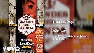 Valentín Elizalde - A La Luz De Los Cocuyos (Official Audio)