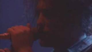 Download lagu The Cure - Pictures Of You ( Live Wembley Arena 1991 ) mp3