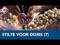 1 minuut stilte voor Doris (7): 'Het is zo ongelofelijk triest en onrechtvaardig'
