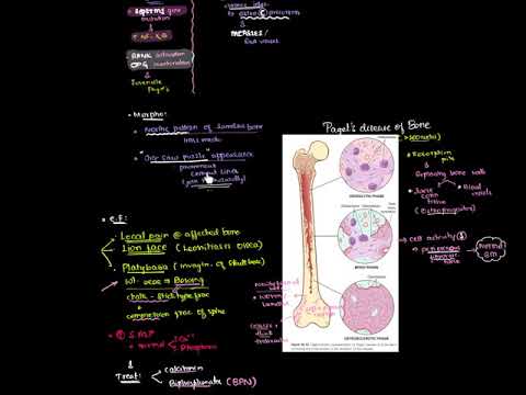 26. Bones, joints & soft tissue tumors