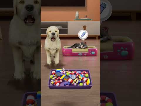 KittenMatch3D/パズにゃん3D Cats and dogs are good friends, love knows no boundaries #ねこ #cat #dogs  #fyp