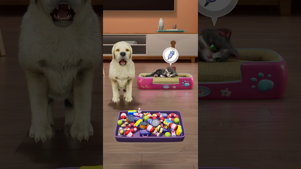 KittenMatch3D/パズにゃん3D Cats and dogs are good friends, love knows no boundaries #ねこ #cat #dogs #fyp