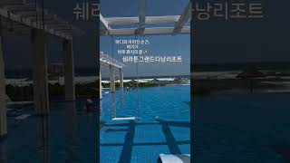 #쉐라톤그랜드다낭리조트 인피니티풀, 바다와 하나 되는 순간✨ 이곳이 진짜 휴식#다낭여행 #호캉스 #인피니티풀…