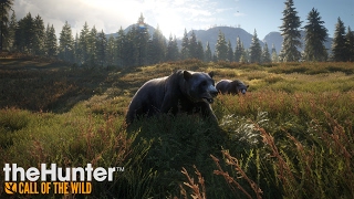 theHunter: Call of the Wild