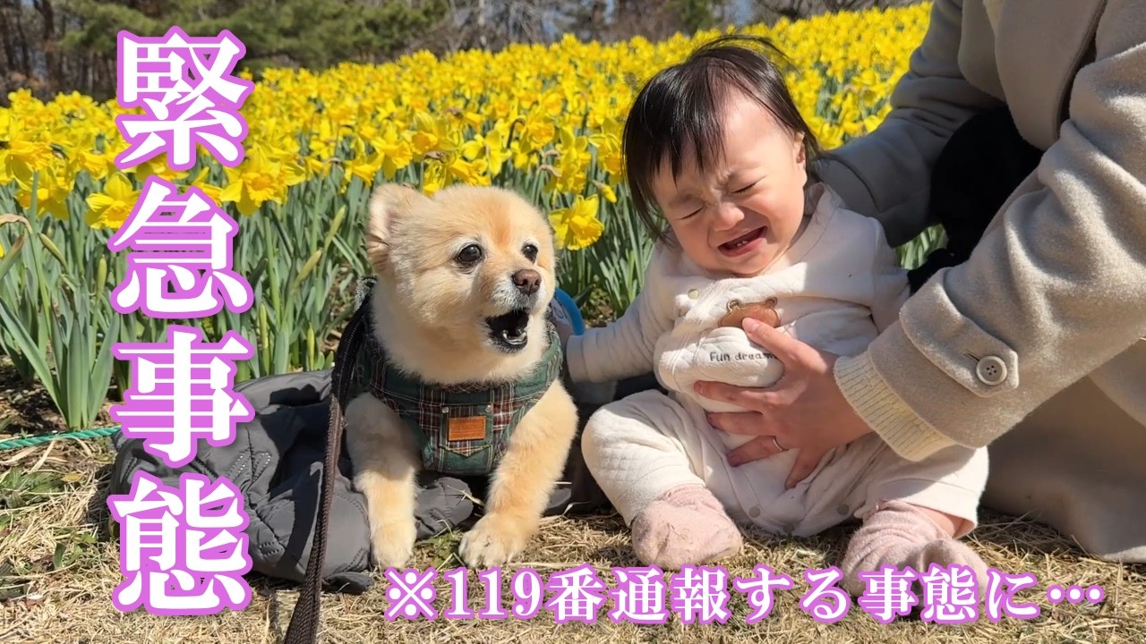 【緊急事態】愛犬と一緒に泊まれる高級グランピングに行ったら、119番通報する事態になりました…