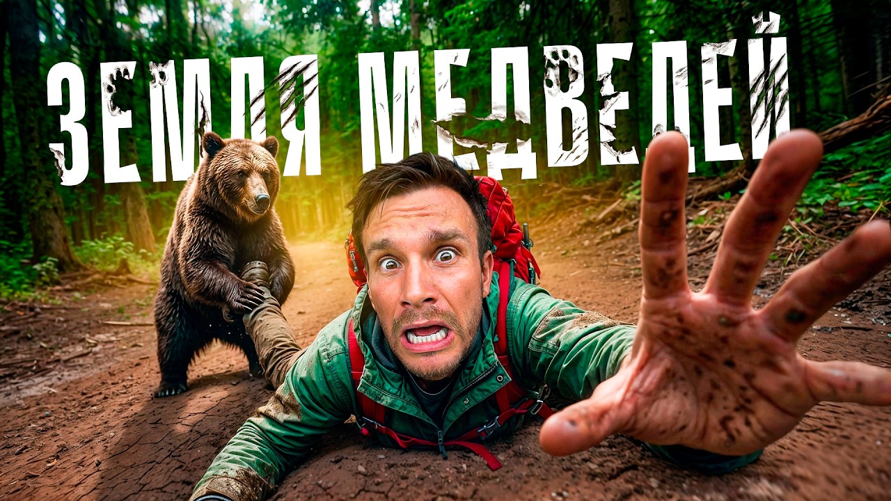 Встретили 30 медведей за два дня! Самое медвежье место на земле - Кроноцкий за?