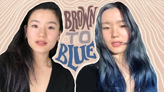 Brown to Blue Hair with Overtone