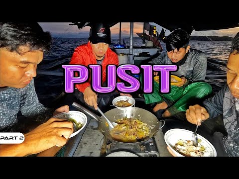 P2-SQUID FROM OCEAN TO PLATE - EP1115