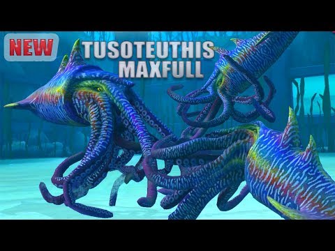 The beautiful drawing and the power of new rookie TUSOTEUTHIS has just been released