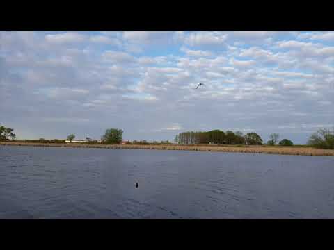 Wisconsin Fishing Bird Lake Butte Des Morts