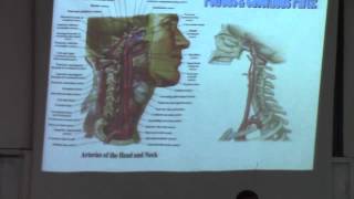 8 - (Neck)Dr Hossam Yahia 19/11/2015(Internal carotid artery-Internal jugular vein)