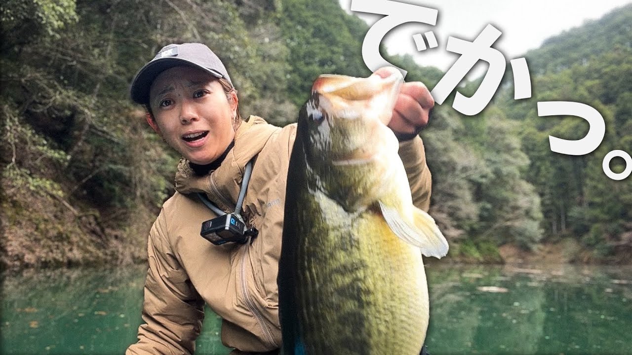 【やばっ】春のバス達が元気すぎた。